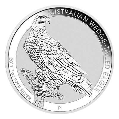 Австралийский клинохвостый орел