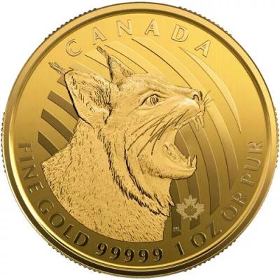 200 долларов Канада Рыжая рысь, 2020 в блистере. Au 31.1