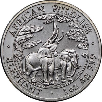 5000 квач,  2003 года, Дикая природа Африки - Слоны [Замбия], Ag 31.1 г.