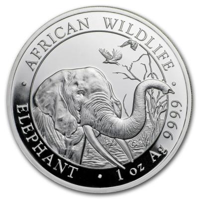 100 шиллингов, Слон Сомали, , 2018 год, Ag 31.1