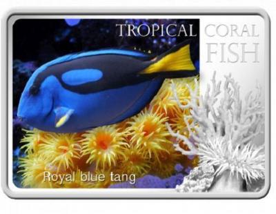 Ниуэ 1 доллар, 2013 год. Тропические рыбки. Голубой хирург. Ag 28.28